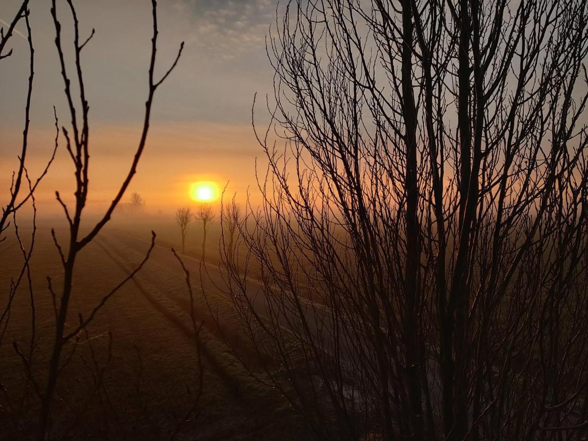 De Maretak Villa Meetkerke Buitenkant foto